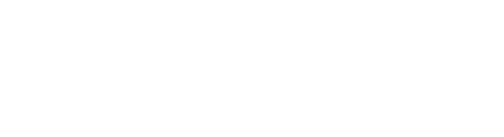 sayskubees_media_ad_agency
